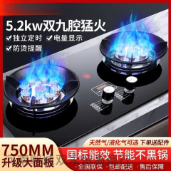 新型2024ガスレンジ双かまど家庭用天然ガスかまど埋め込み式液化ガスレンジ