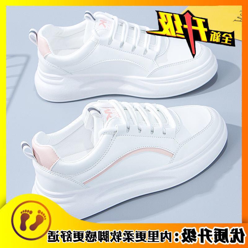 핑크 업그레이드 버전