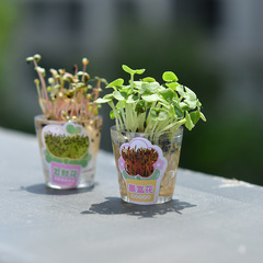 晨兮有錢花種草筆針管中性筆創意長草筆DIY文具綠植小盆栽種子筆