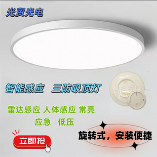 ȫ���V������픟��o�۟����������ҟ��������� �����l��A�Ο�