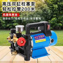 手提式高压柱塞泵12V24V48V60V220V电动喷雾器双缸高压果树打药泵