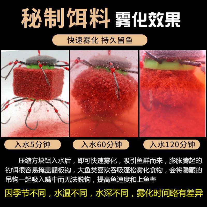 Big Head Floating Fish