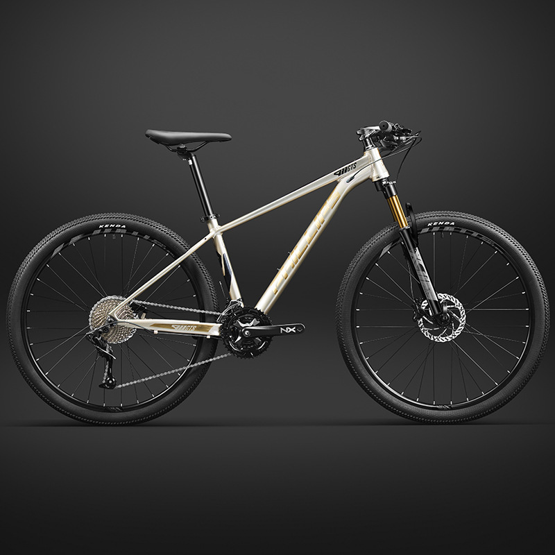 Philip Mountain Bike Variable Speed Bicycle Adult Men's Work Transportation Youth Cross-Country Women's Racing