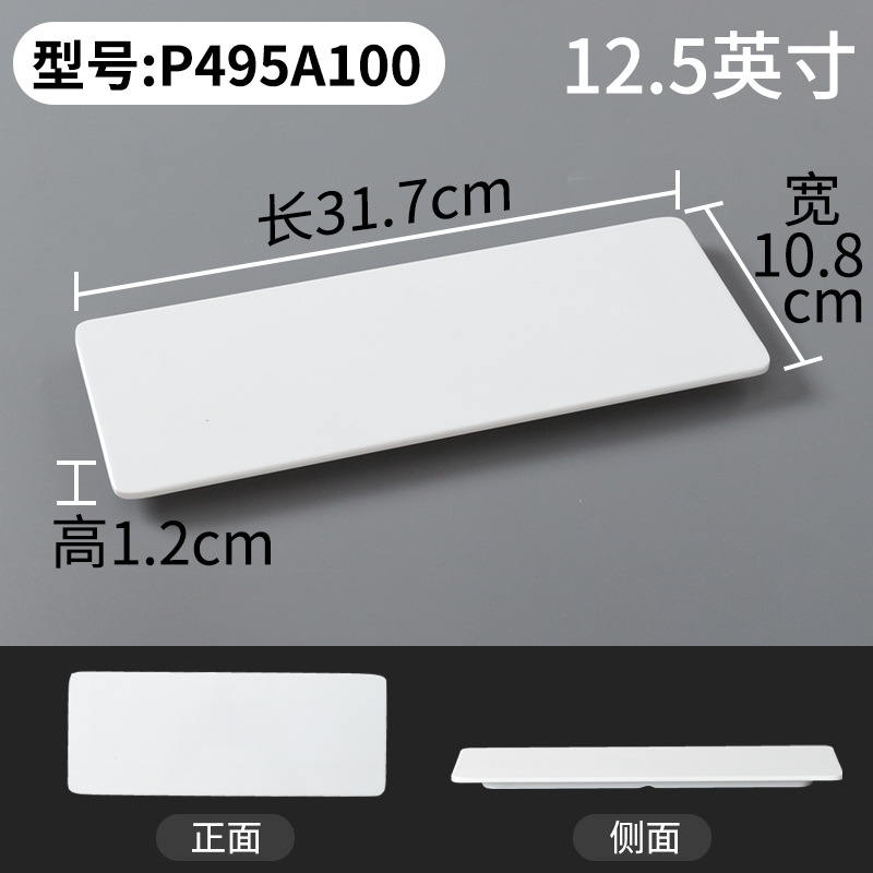 P495A100
