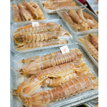 ����L�i���⎧��ƤƤ�r�|���rĸ�r�������r�����r��� 400g*16��