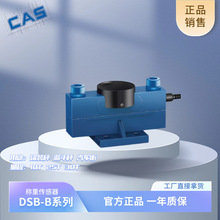 DSB-B-10T�p�������Q�؂����� �n��CAS�Pʿ10t��܇��/��ذ�����