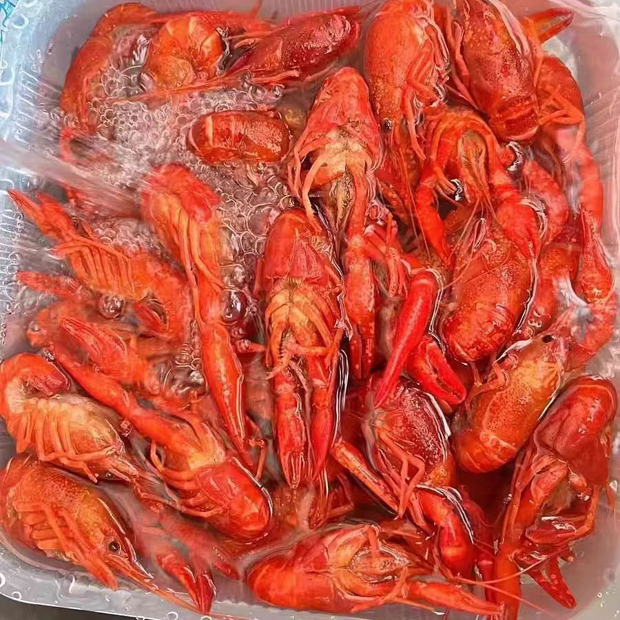 小龙虾789产地鲜活活虾夏季批发湖北潜江清水虾