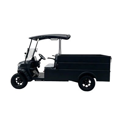 security patrol shuttle vehicle, Elektrik qolf avtomobilləri