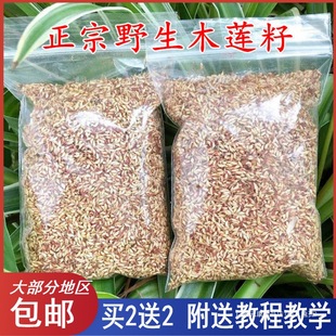 �㽭�T���خaľɏ����ľɏ��ľɏ�ѱ�����޵����ћ����ѐ�������