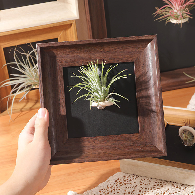 Air Plant Vintage High-End Magnetic Photo Frame Empty Frame Display Stand Square DIY Decorative Picture Frame Air Plant Vintage High-End Magnetic Photo Frame Empty Frame Display Stand Square DIY Decorative Picture Frame