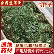 ��ș���R�Ų��^���߀ꖲ�Сʯ�f�R�Ų��R����߀ꖲ��R�������l