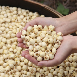 �����V����ɏ�ӟoо��ʳĥƤȥͨо��؛�r���ֹ����خa�Ҝ����r��