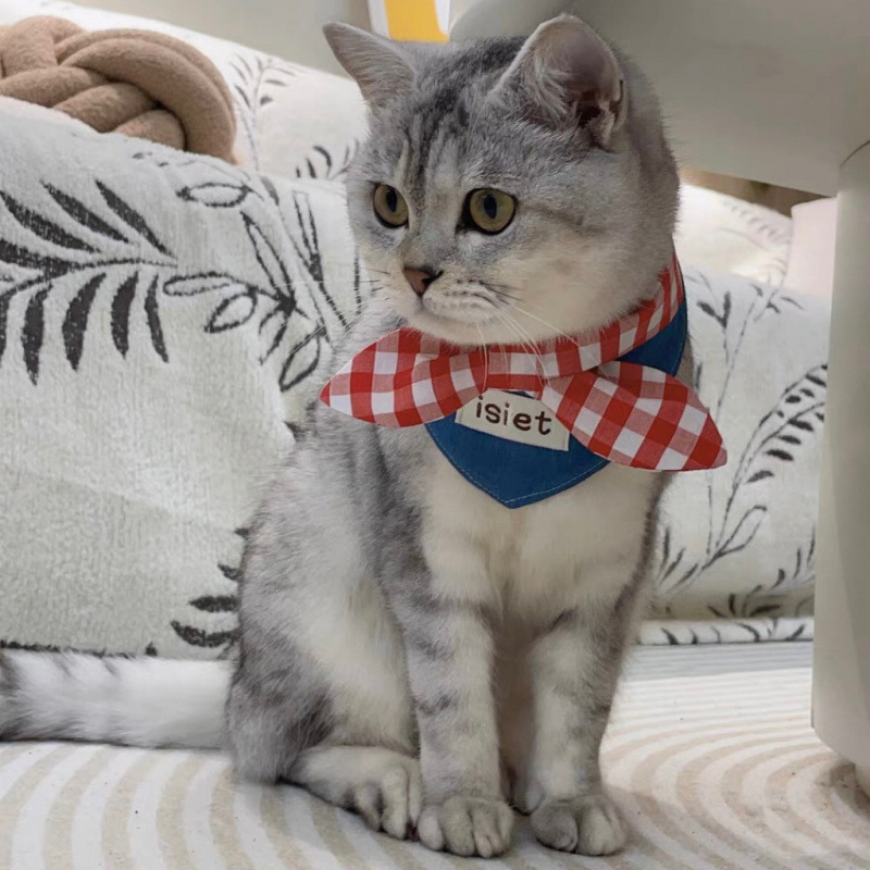 Pet buckle viento pequeño perro buck toallas de saliva triángulo toallas gatos collar arco adorable gato perro Han