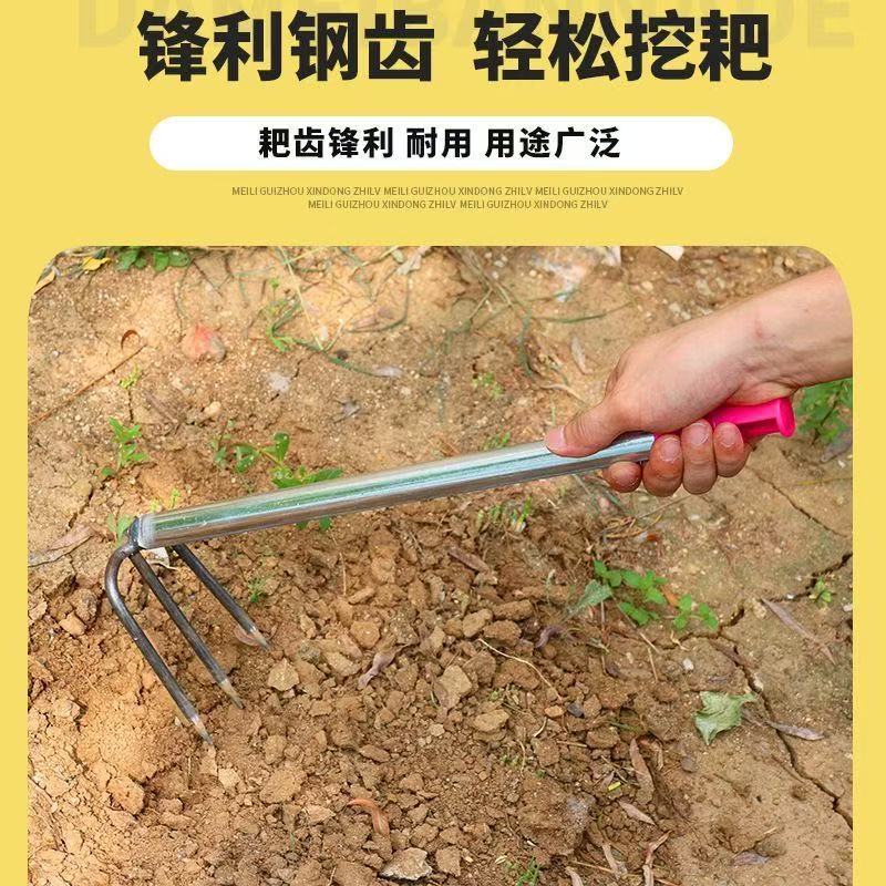 微信图片_202505070826132.jpg
