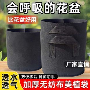 ��ֲ���Nֲ���Ӻ�o����ֲ��������̨�Ԙ��������ͥ�Nֲ��ֲ��