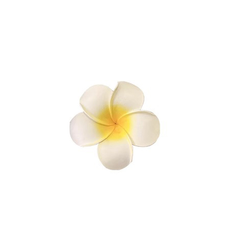 Primavera y verano nuevo huevo flor clip para el cabello vacaciones fotos dulces flores clip para el cabello al por mayor