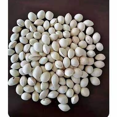 定制冷冻银杏白果仁去壳去皮新鲜出口优质白果米日料店专供银杏