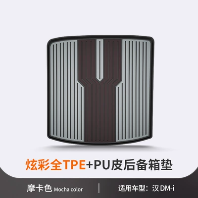 Trunk Mat — 05 06 Seal Seagull Dolphin Han - han-dm-ip-mocha-color-vehicle-specific
