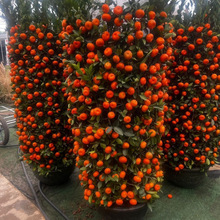 ������Ԏ��������������_�I���w��ۘ������ɰ�ٿ͏d��ؔ�ļ���