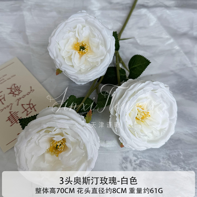 화이트