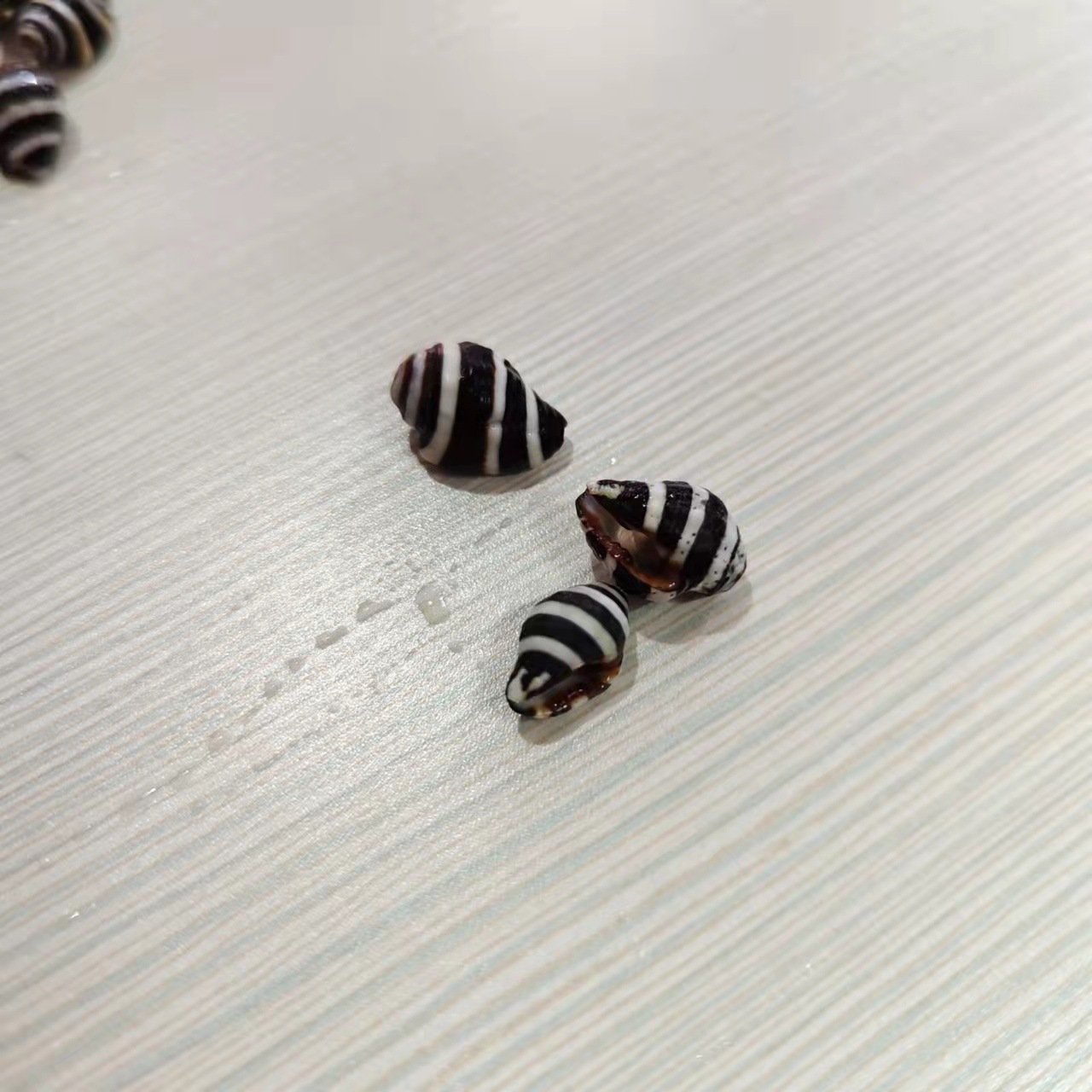 微信图片_20211116132330