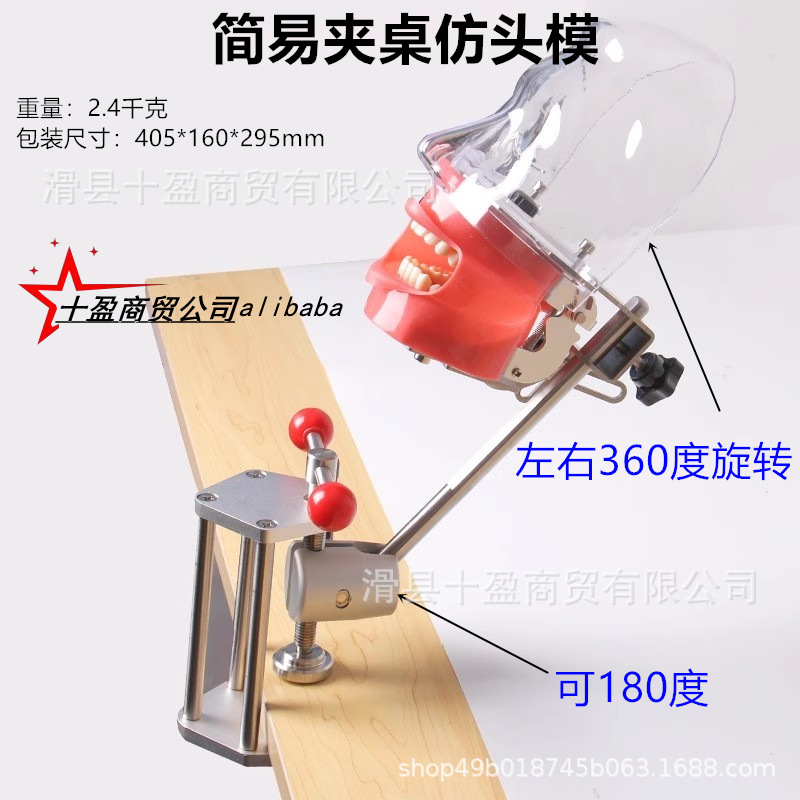 口腔シミュレーション練習頭型歯模型口腔歯科教育材料器械型歯模型練習型