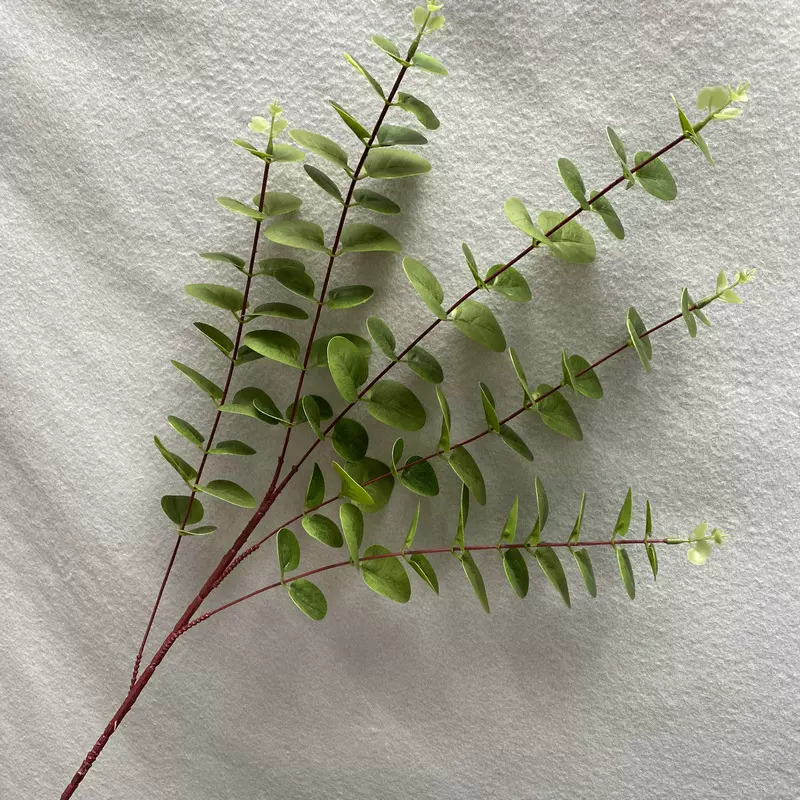 3D打印3叉5叉金钱叶仿真绿植手工装饰花批发 客厅餐厅插花摆件插