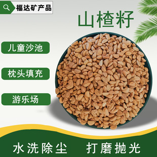 Hawthorn Seeds Washed and Polished Hawthorn Seeds for Kidsren's Playground Sand Pool Floor Hawthorn Seeds Clean New Goods in Stock