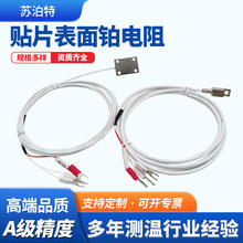 ����ʽ�NƬ�����K���PT100�߾���A��������4mm�A�לy�؟����