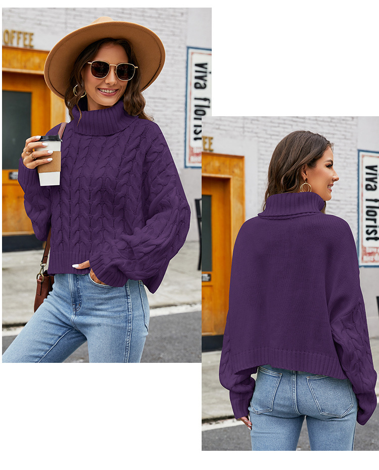 Women's Sweater Long Sleeve Sweaters & Cardigans Casual Simple Style Solid Color display picture 3