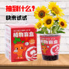 Children's plant lamp, small creative small pot for kindergarten for elementary school students