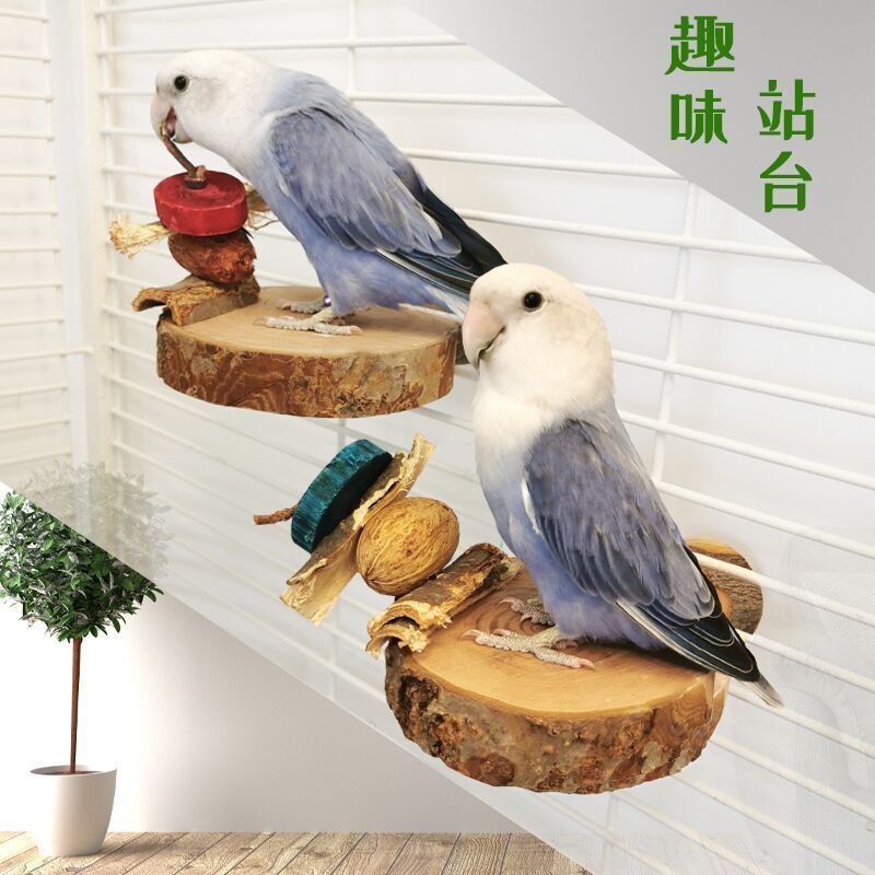 Peony Cockatiel Wooden Platform for Birds to Chew Nuts, Grind Their Beaks, Play and Relieve Boredom, Apple Wood Standing Perch