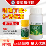 兰月根团引发1％吲哚丁酸S诱抗素小麦调节生长壮苗植物生长调节剂