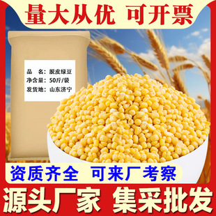 ÓƤ�G��50��/����؛�oƤ�G�����s�Z����ȥƤ�G�����W�ϏS�����lc