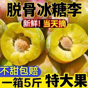 �Ĵ�Ó��������߅�t��t�������������rˮ��