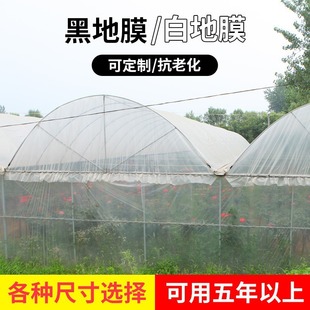 Thickened greenhouse film transparent anti-fog non-dripping film thermal insulation waterproof dust-proof film agricultural plastic film Paper film planting film