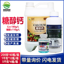 �Ǵ��}�~����}�� �����߲˲�ݮ�ѹ����ѹ� �����} Һ�w�} ���w�}