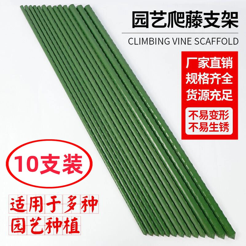 Крыша сада для восхождения на виноградную лозу растительное растение фасоль огурец для восхождения на лозу