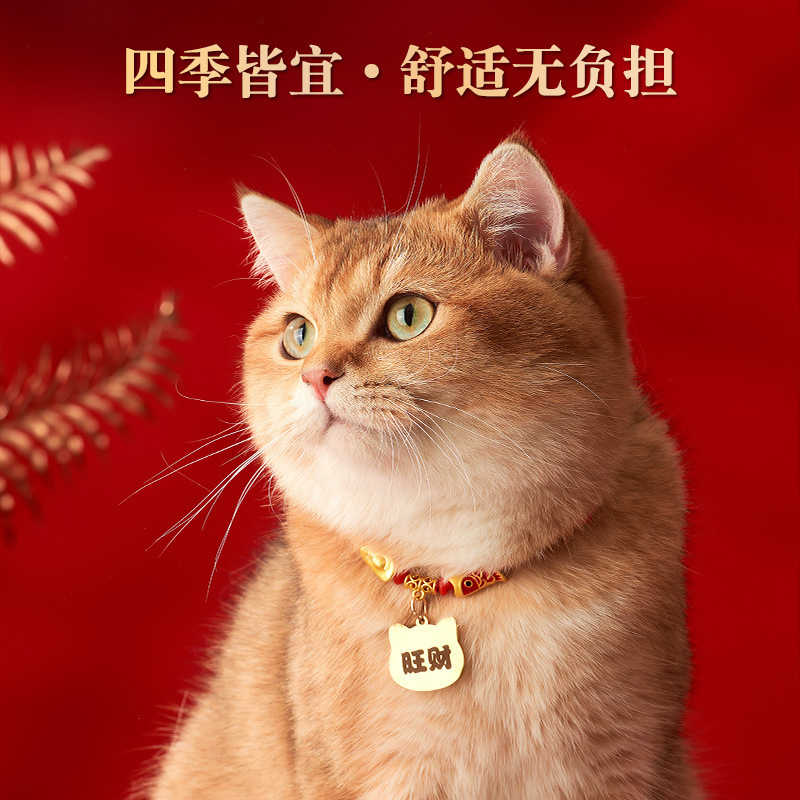 猫の首輪に名前が刻まれています。|undefined
