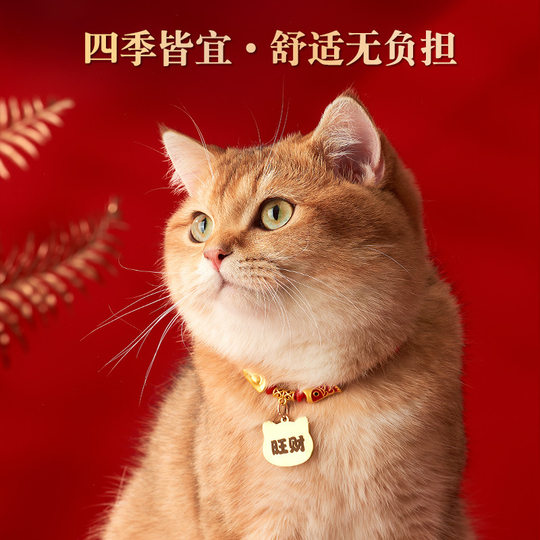 Cat Collar Engraved Name New Year Dog Bell Dog Brand Engraved Anti-lost Jewelry Necklace Pet Collar Accessories