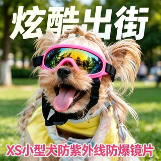 狗狗墨镜通用狗狗防护眼镜户外防尘防刺眼潮流搭配宠物护目镜批发