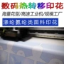 印花数码定位涤纶热转印