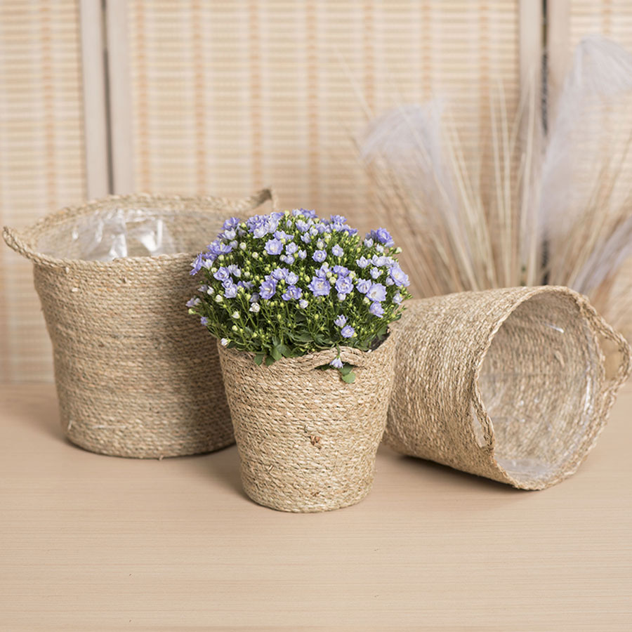 Pequeña maceta tejida de cuerda de paja marina nórdico personalizada, decoración de maceta decorativa creativa, dibujos, muestras, cantidad personalizada, gran descuento