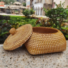 �ֹ�ins�پ��ռ{�мҾ�������P��ʳ���ǹ��@���c���~�в��~�t��