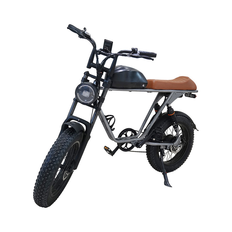 Factory Direct Sales 2025 Off-Road 20-Inch Large Wheel Mountain Snow Off-Road Electric Bicycle Electric Motorcycle