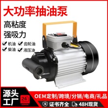 现货供应手提齿轮泵微型卸柴油液压机油24v220v高粘度电动抽油泵