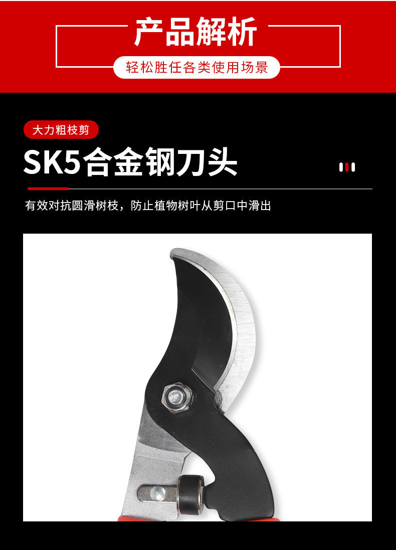 详情_06.jpg