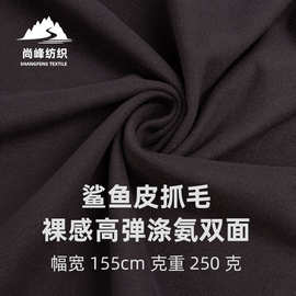 高弹涤双面布料 欧标涤氨高弹鲨鱼皮瑜伽打底裤面料 抓毛工艺250G