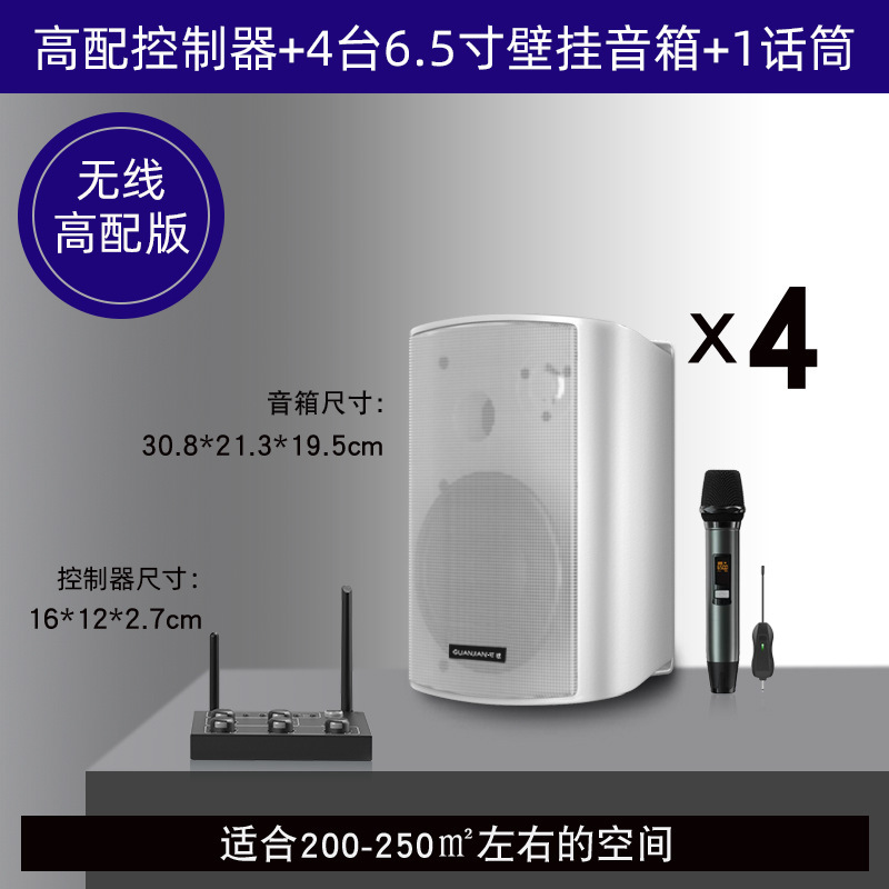 壁挂无线音响店铺舞蹈教室餐厅健身房会议室商用音箱组合套装|undefined