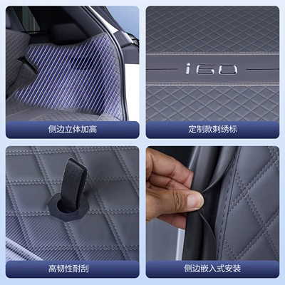 Trunk Mat | Mat for Aion I60, Special
